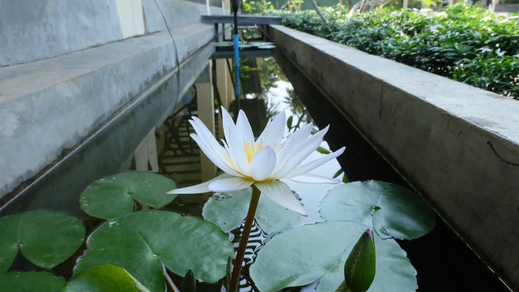 Lullaby Boutique Resort Тхап Са Кэ Экстерьер фото